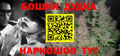 крисы Будённовск