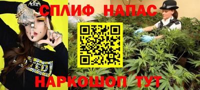крисы Будённовск